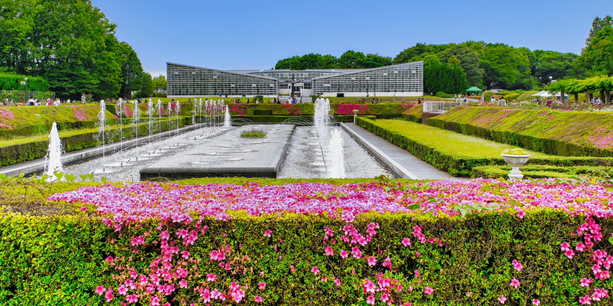 神代植物公園2026最新攻略！バラ見頃と混雑回避＆深大寺そば満喫術