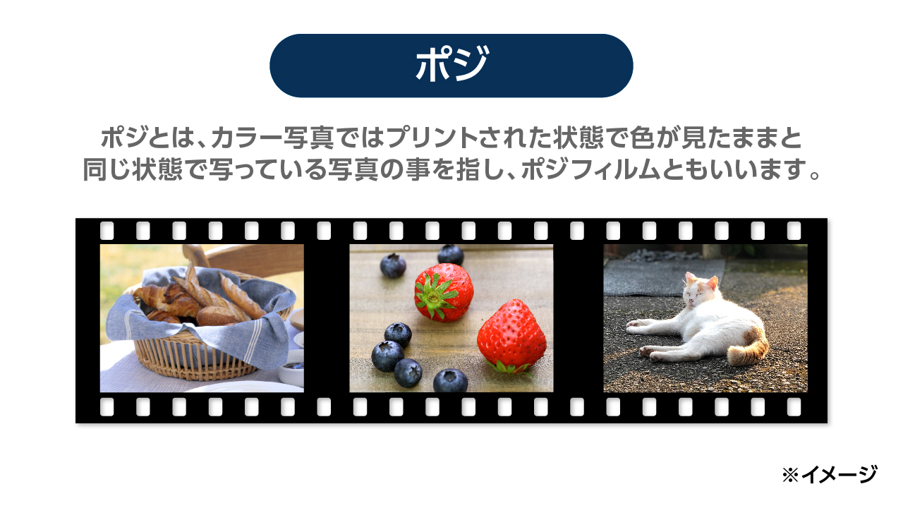 ネガポジとは？意味やビジネスでの感情分析・変換術を徹底解説