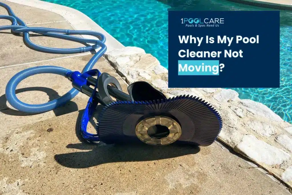 Winny Pool Cleaner Not Moving