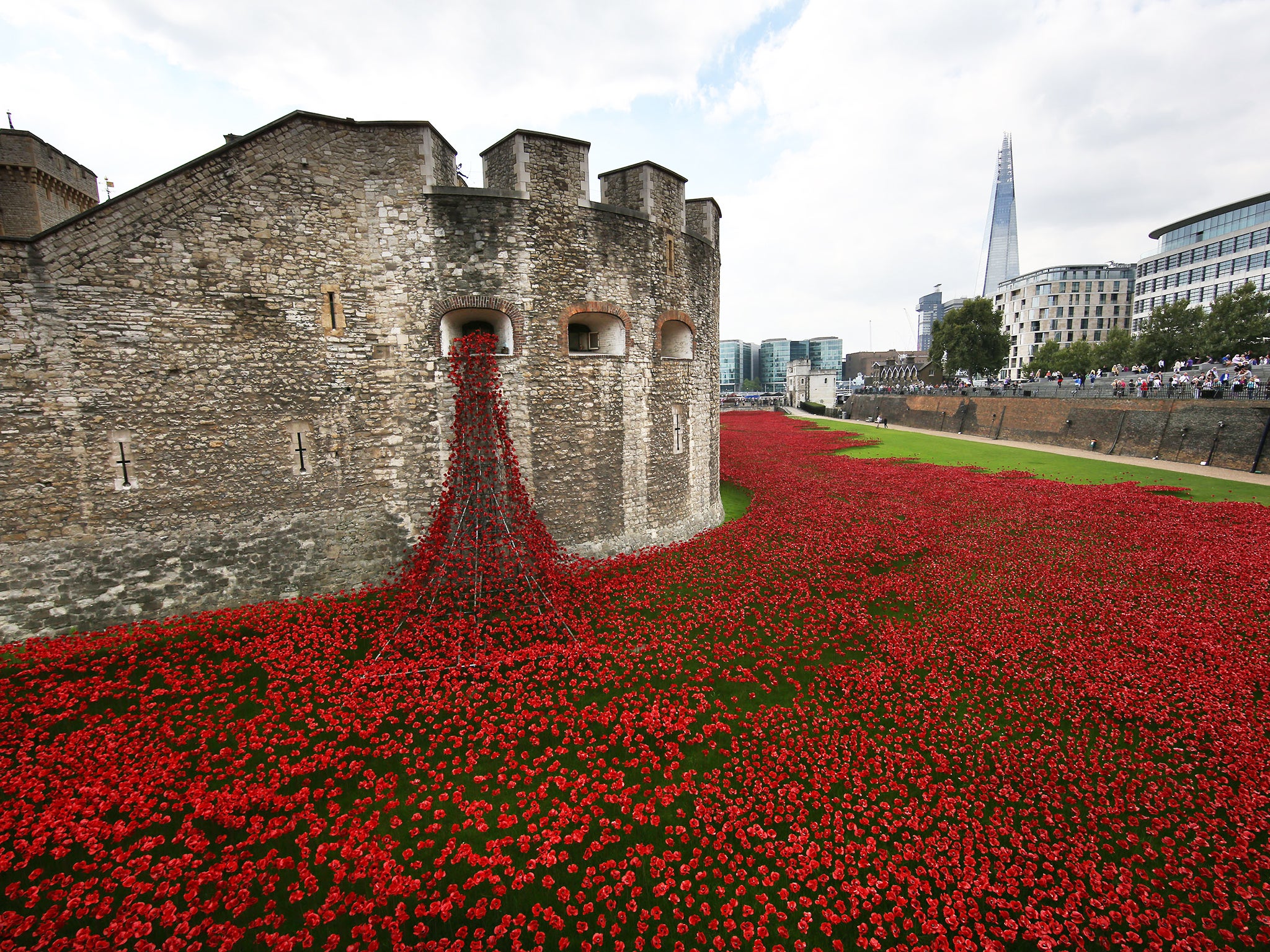 Tower of London Poppies for Sale