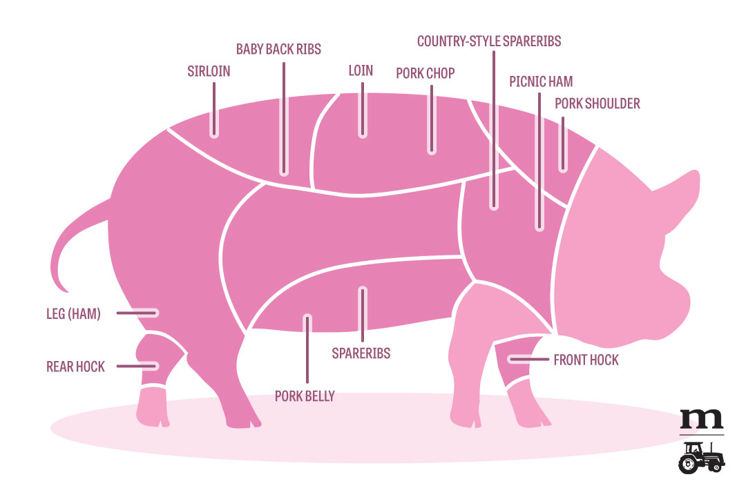 Where Does Pork Fillet Come From