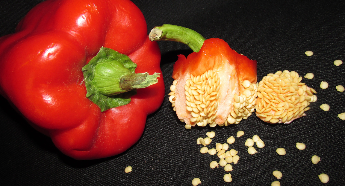 Can You Eat the Seeds in Bell Peppers