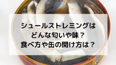 【最新】 シュール ストレミング どんな 匂い 衝撃の最新ニュース #822
