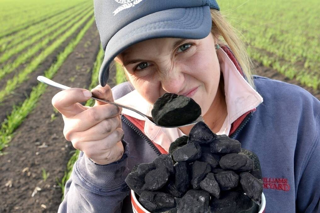 What Happens If You Eat Coal