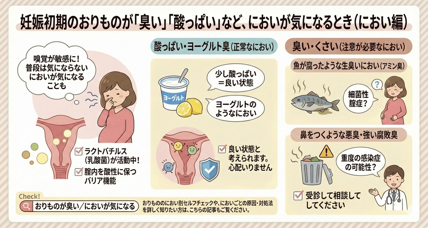 妊娠初期のおりものはなぜ匂う？酸っぱい・生臭い原因と受診の目安