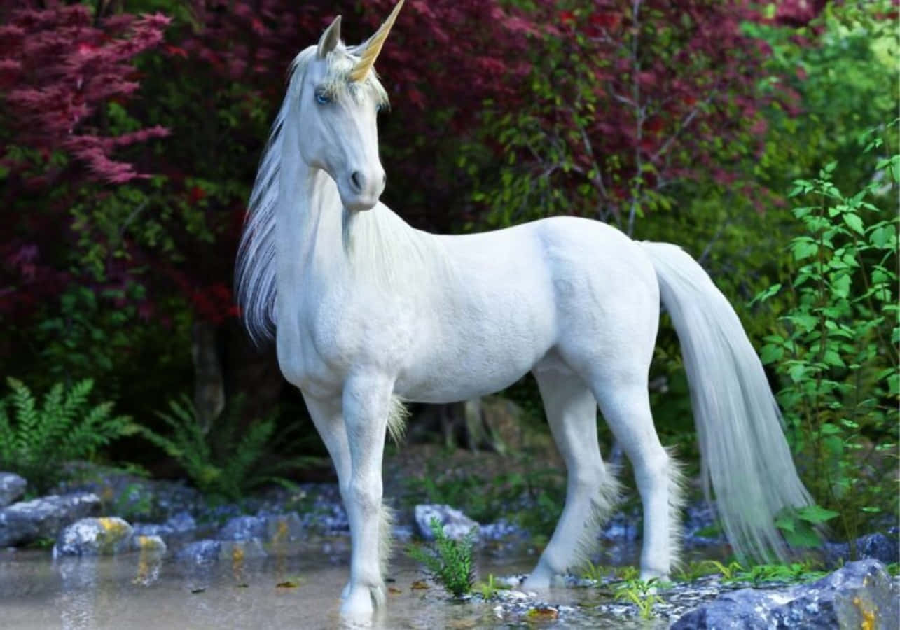 Pictures of Unicorns That Are Real