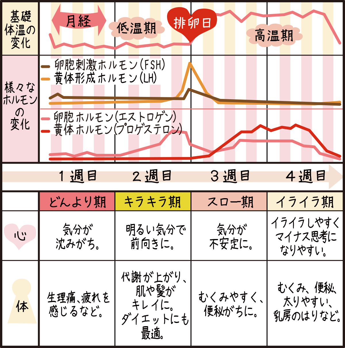 排卵日に気持ち悪い原因とは？突然の吐き気と胃痛の正体と緩和策