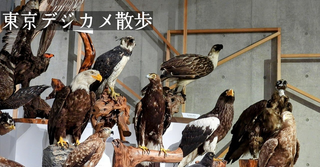【衝撃】 鳥 手羽 元 さっぱり 煮 私服＆私生活最新ショット #775