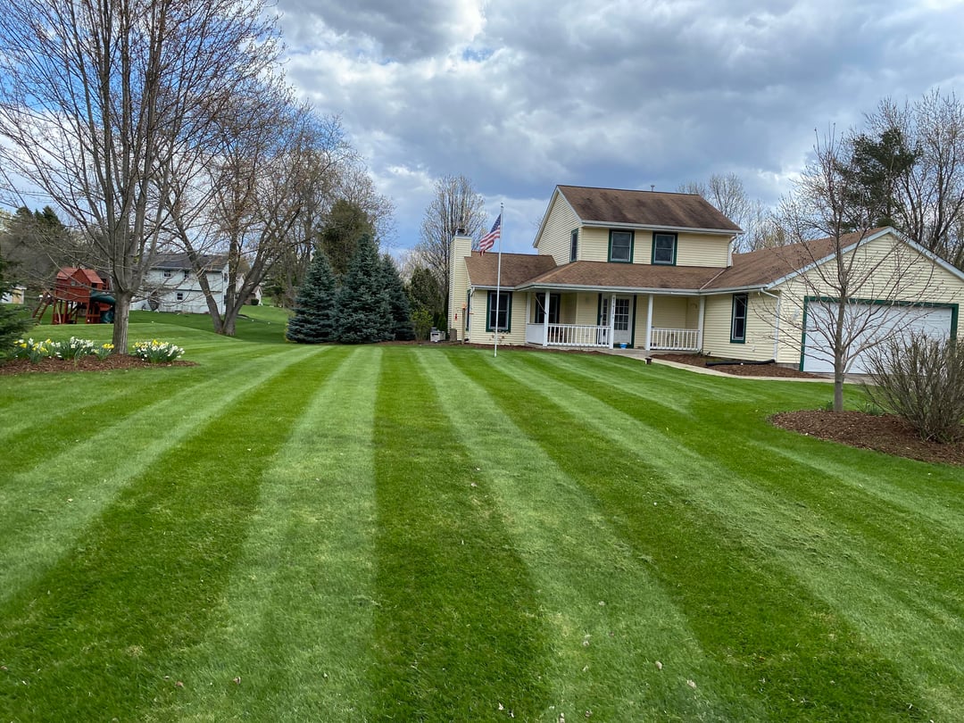 First Cut of the Year Grass