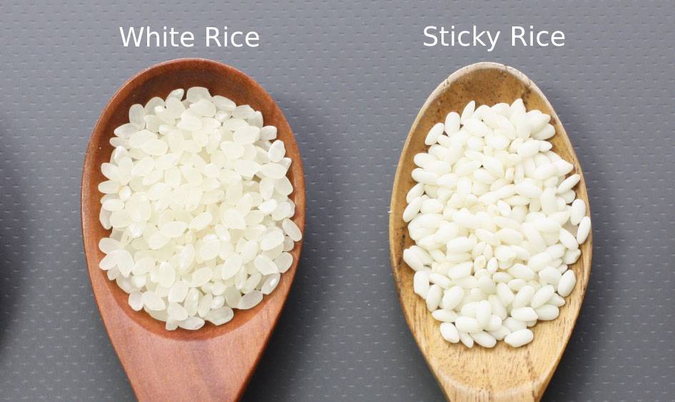 Glutinous Rice vs Sushi Rice