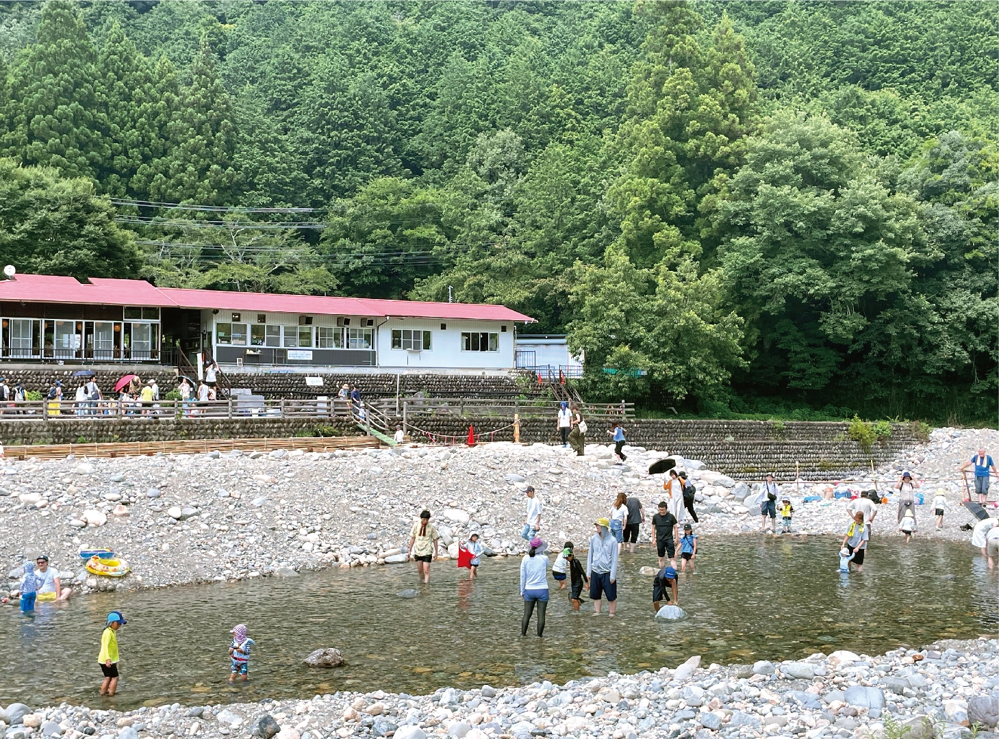 板取川洞戸観光ヤナ2026徹底解剖｜絶品鮎料理の評判と混雑回避の裏技