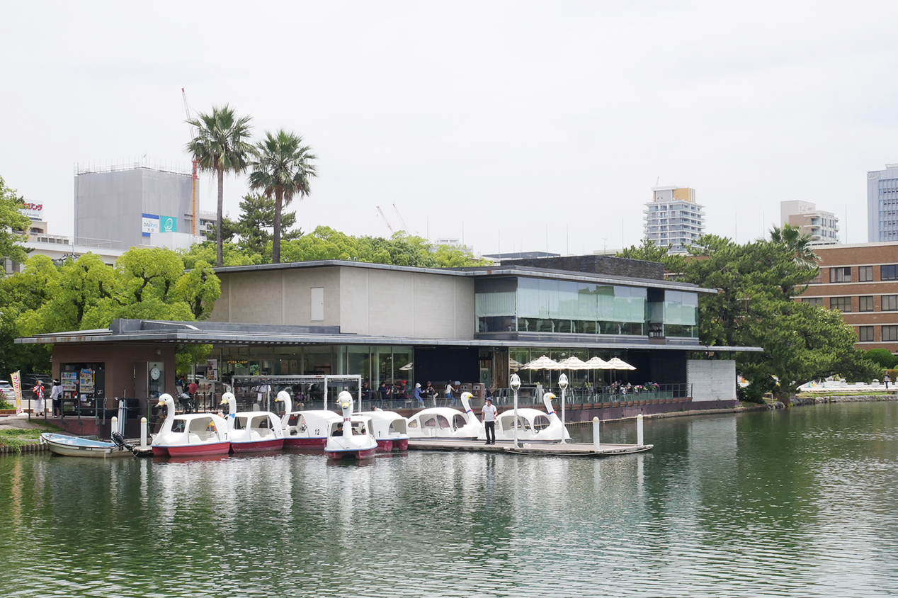 大濠公園の絶景カフェ！ロイヤルガーデンカフェ最新の魅力と混雑攻略