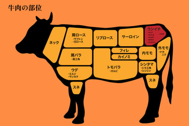 【プロフィール】 ランプ 肉 と は 2026年最新プロフィール #880