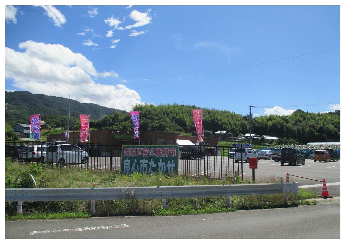 良心市たかせの魅力と攻略法｜香川三豊の朝採れ産直を徹底解説