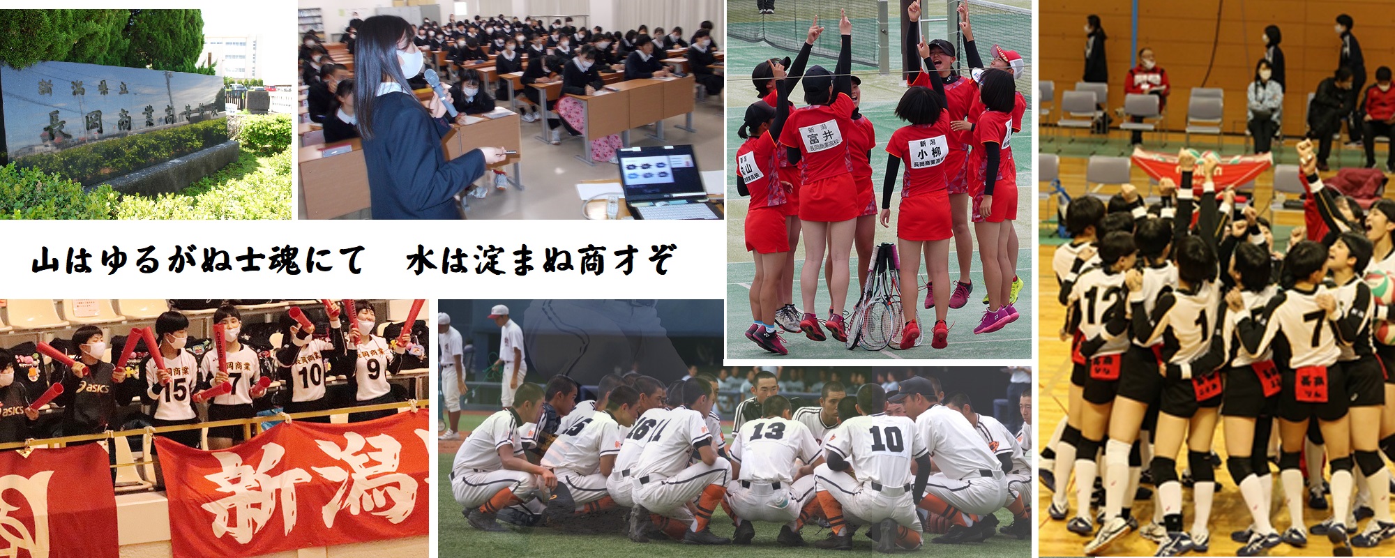 長岡商業高校2026年最新情報！偏差値・倍率・就職実績と評判の真相