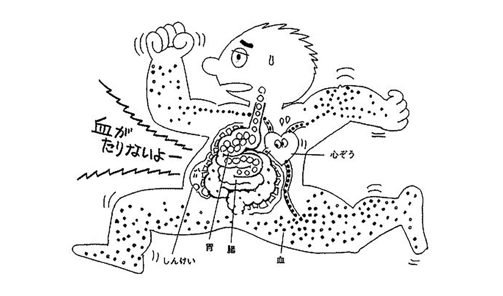 【2026最新】走るとお腹が痛くなる原因は？左右の違いと即効対処法