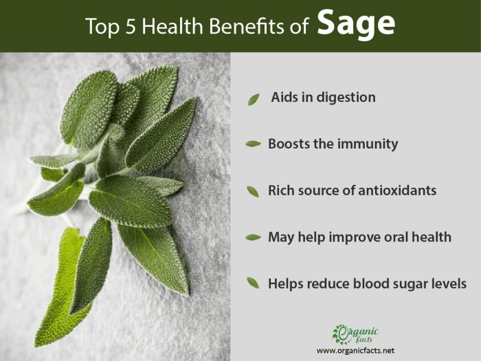 Sage Herb Health Benefits