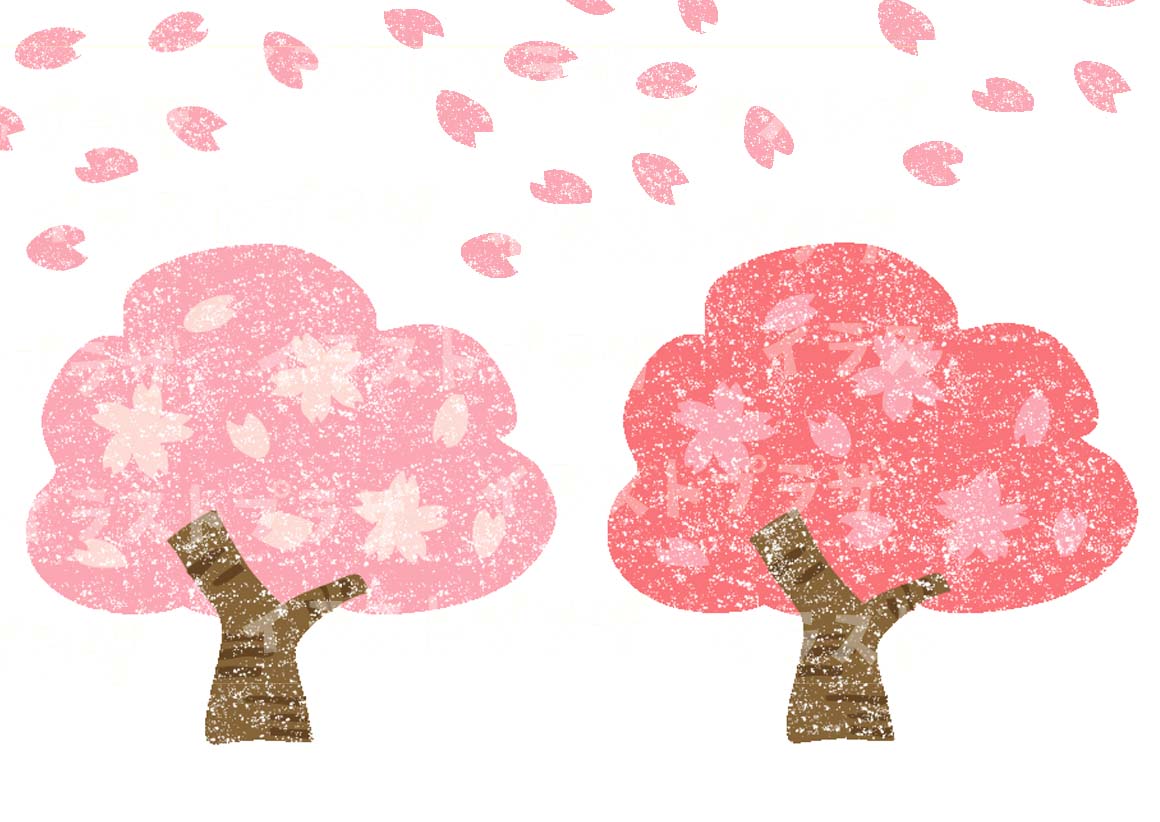 2026年最新｜桜のかわいいイラスト無料厳選！商用Ok枠や簡単な描き方