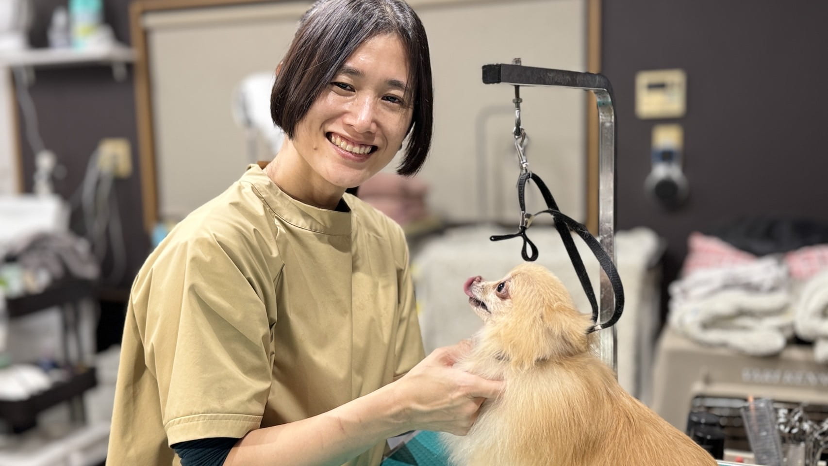 自宅洗いを卒業！マイ犬シャンプースポットの料金相場と後悔しない最新活用術