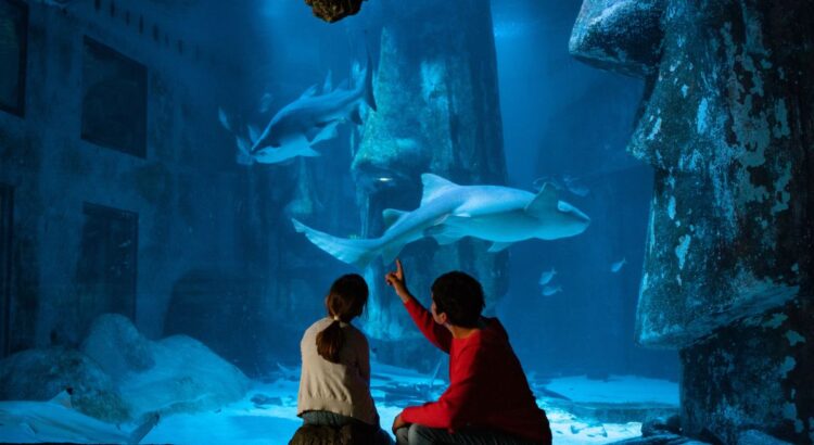 2 for 1 Sea Life London