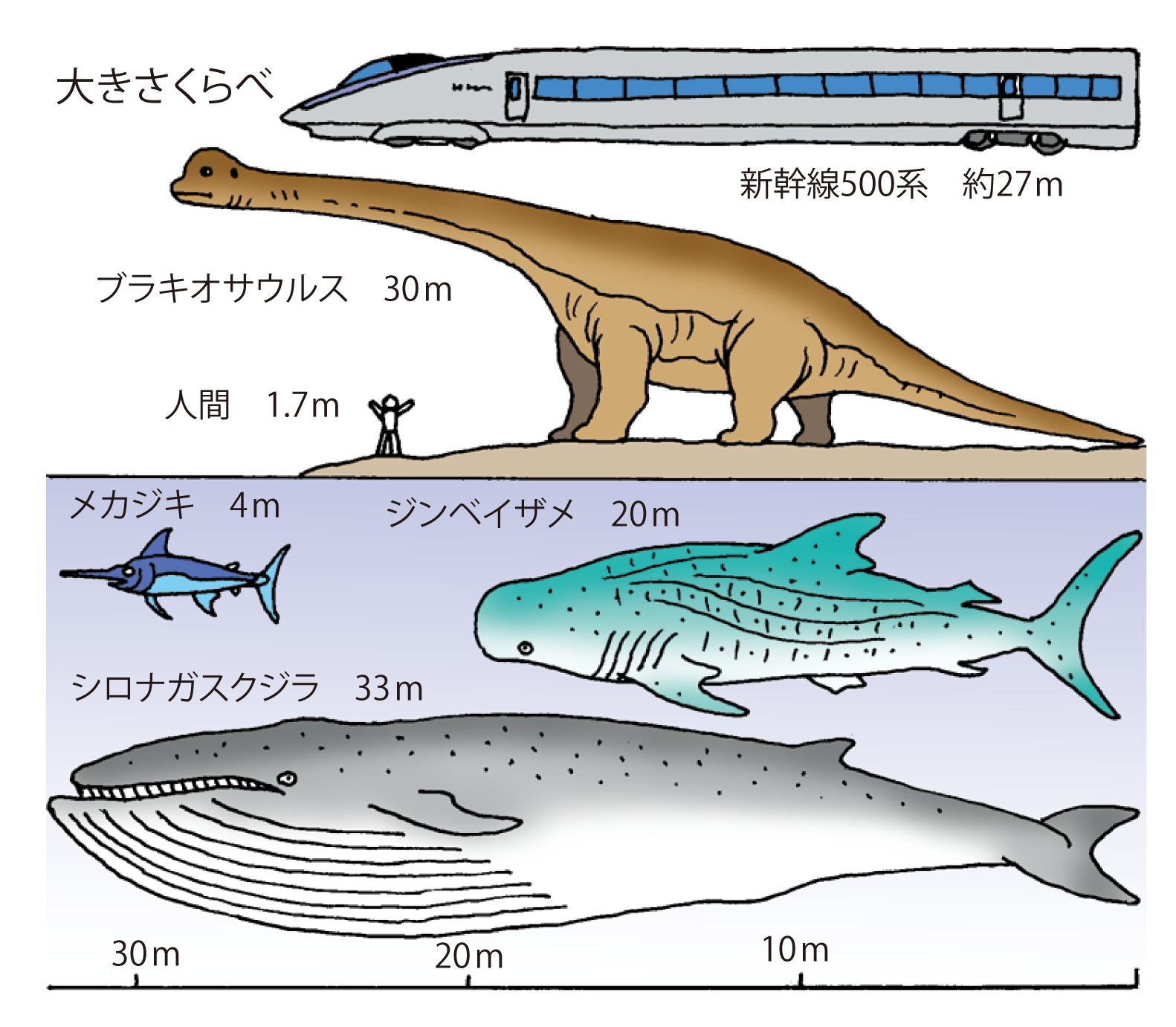 クジラは世界一じゃない？最新科学が明かす地球最大生命体の正体
