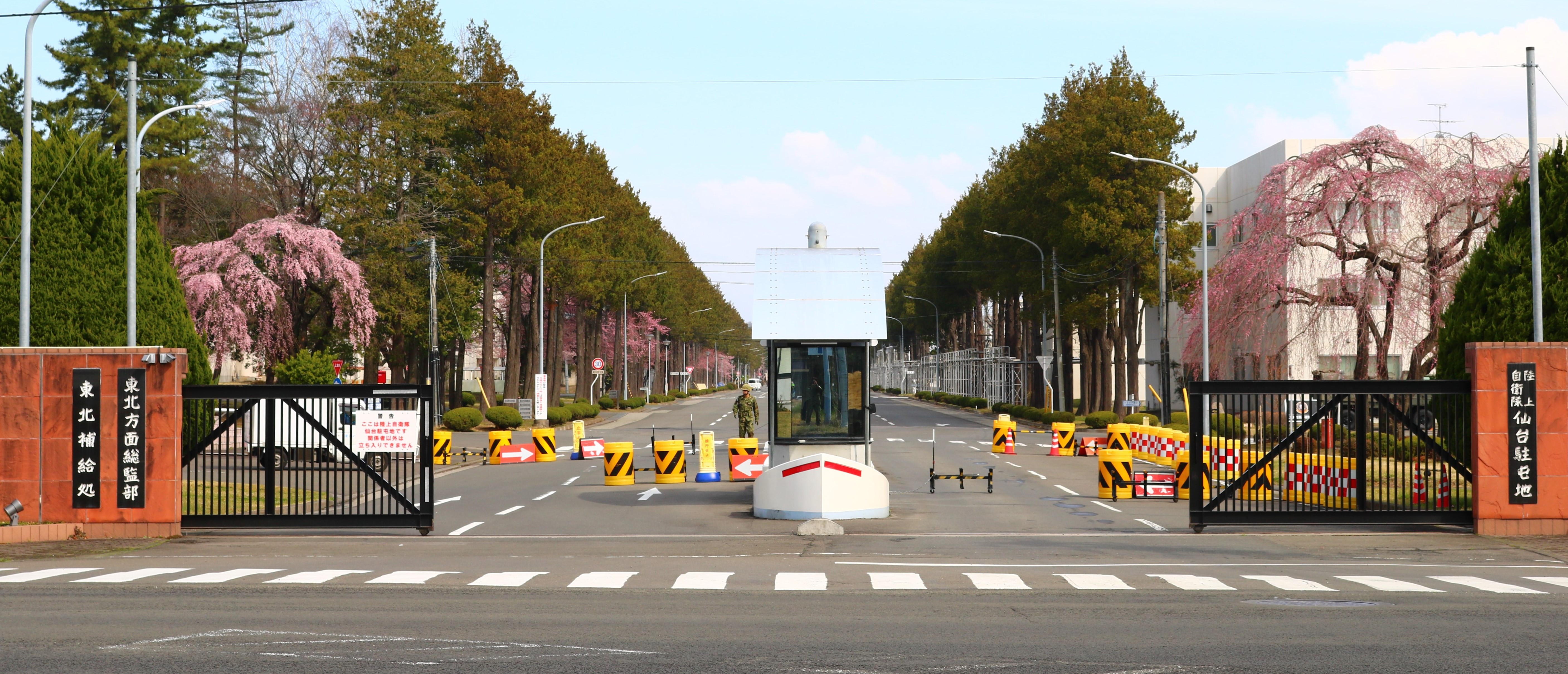 府中緑ケ丘中の真実に迫る！独自検証で見る進路実績と教育改革