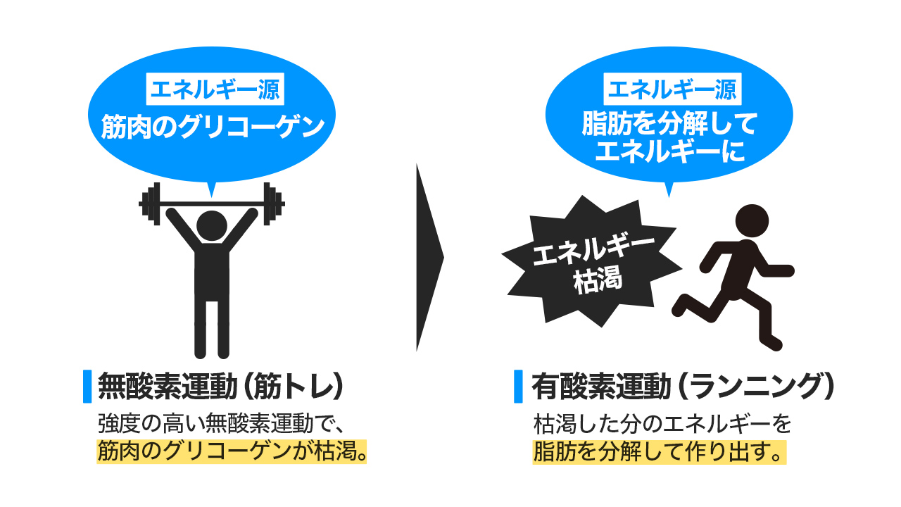 有酸素運動と無酸素運動の違いとは？痩せる順番と2026年最新脂肪燃焼法
