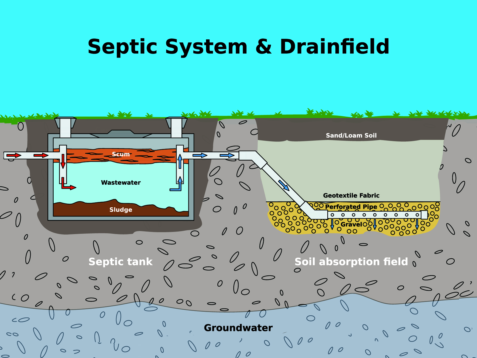 How Much to Drain Septic Tank