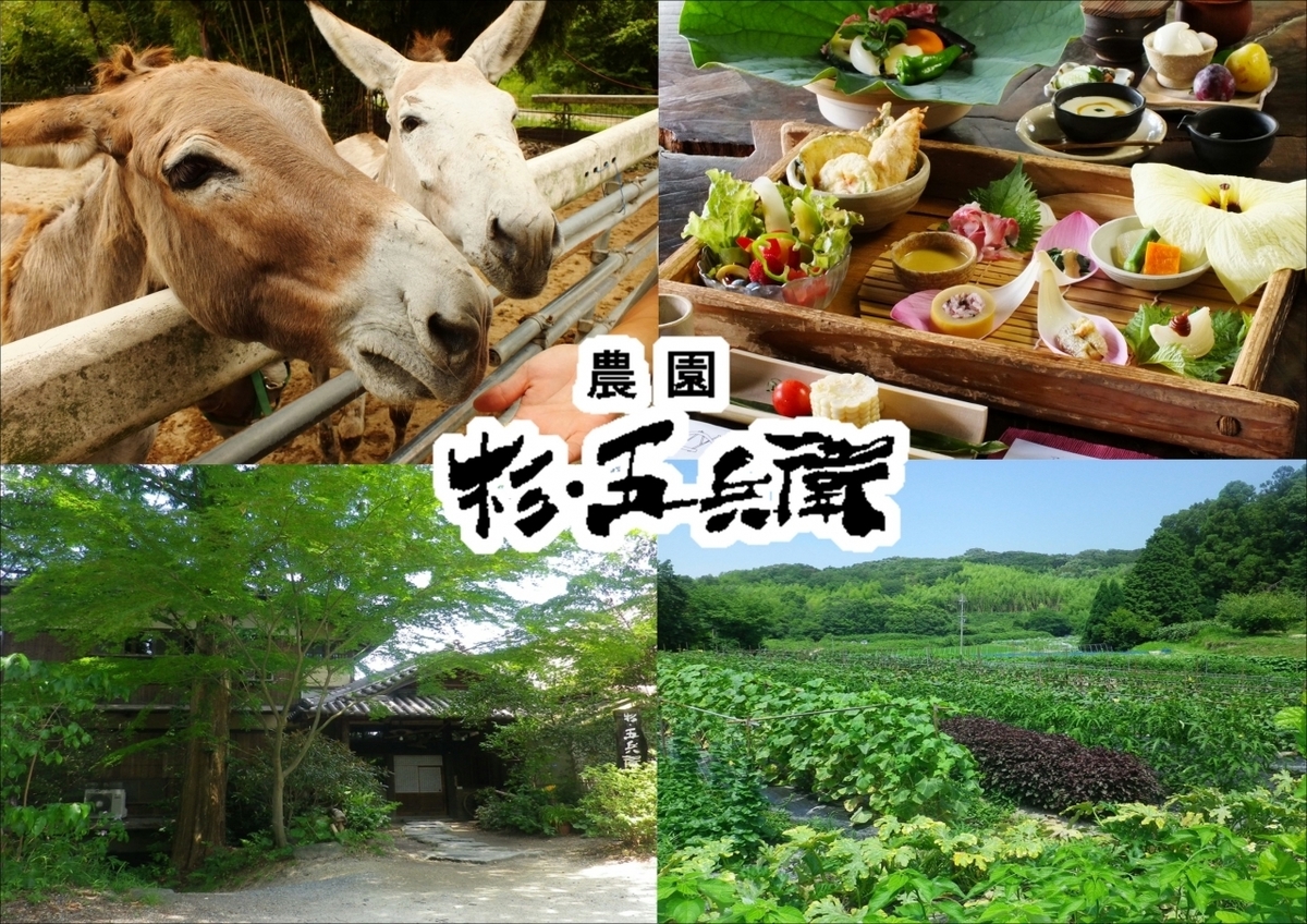 枚方の秘境農園「杉五兵衛」の実態を徹底解剖！料理の評判と予約の極意