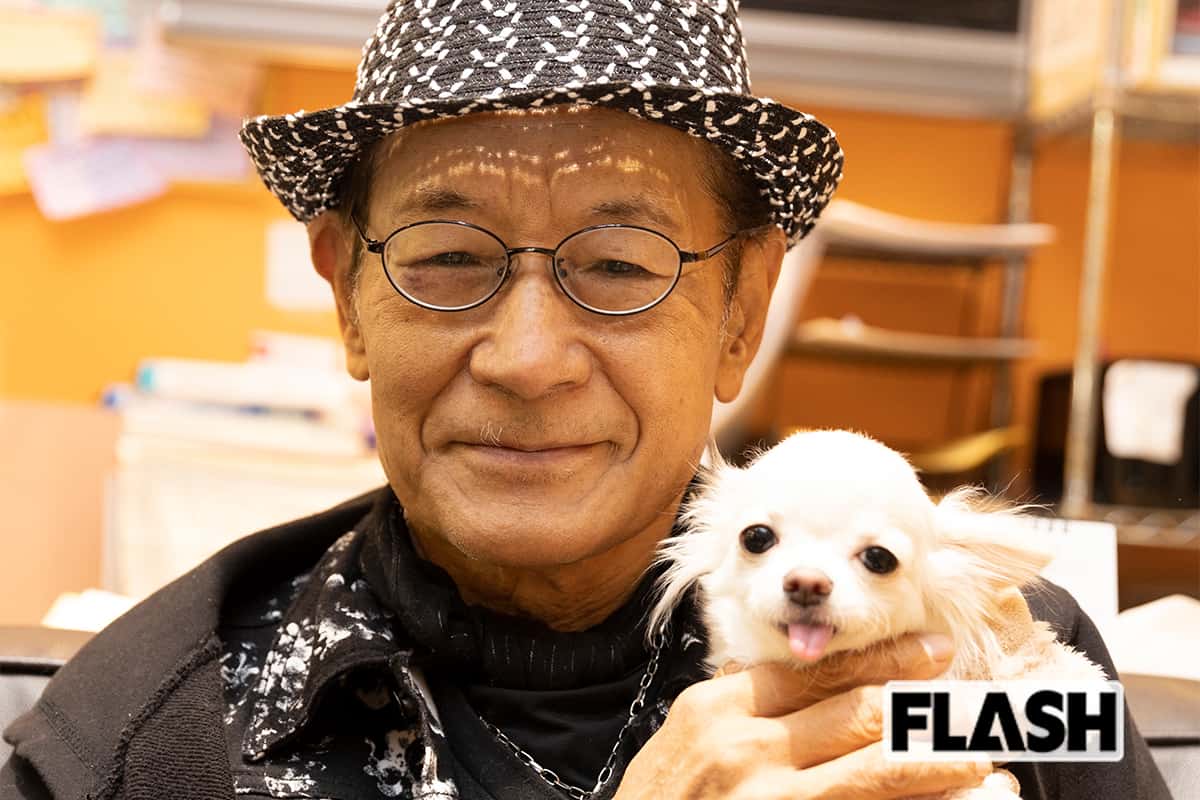 アイフルのチワワくぅ〜ちゃんの現在｜死亡説の真相と共演者の今