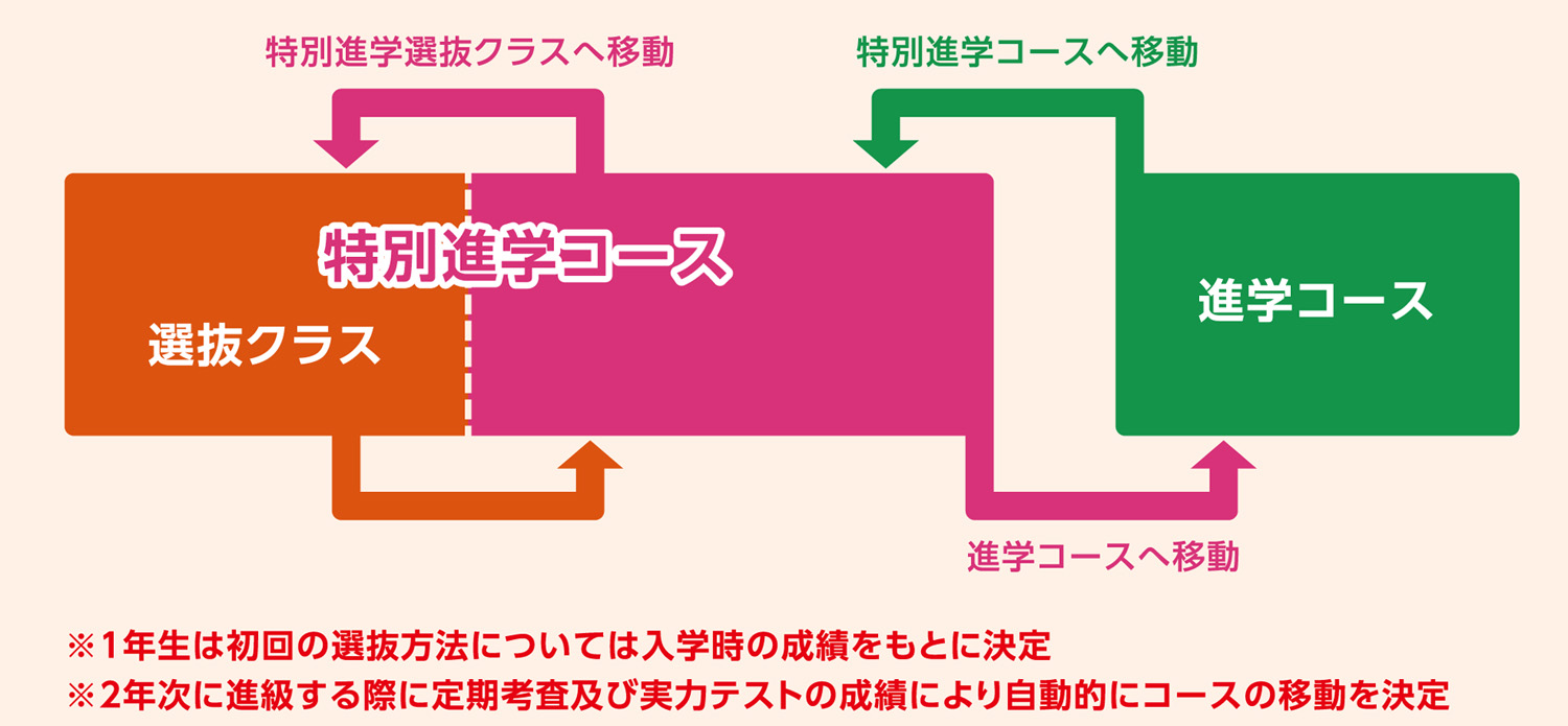 高校の進学コースと特進の違いは？指定校推薦の真相と後悔ゼロの選び方