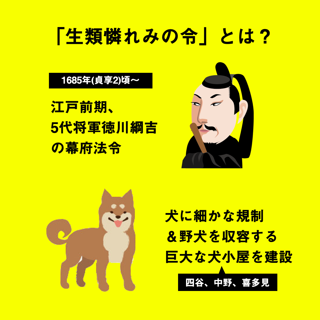 生類憐れみの令はなぜ出された？徳川綱吉の真意と処罰の実態・再評価の真相
