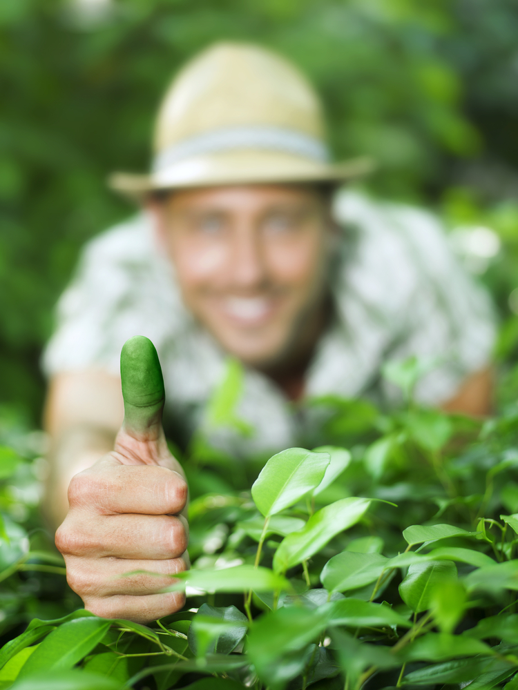 2026年の都市を緑が埋め尽くす——「植物を枯らさない人」たちが引き起こす静かな生活革命