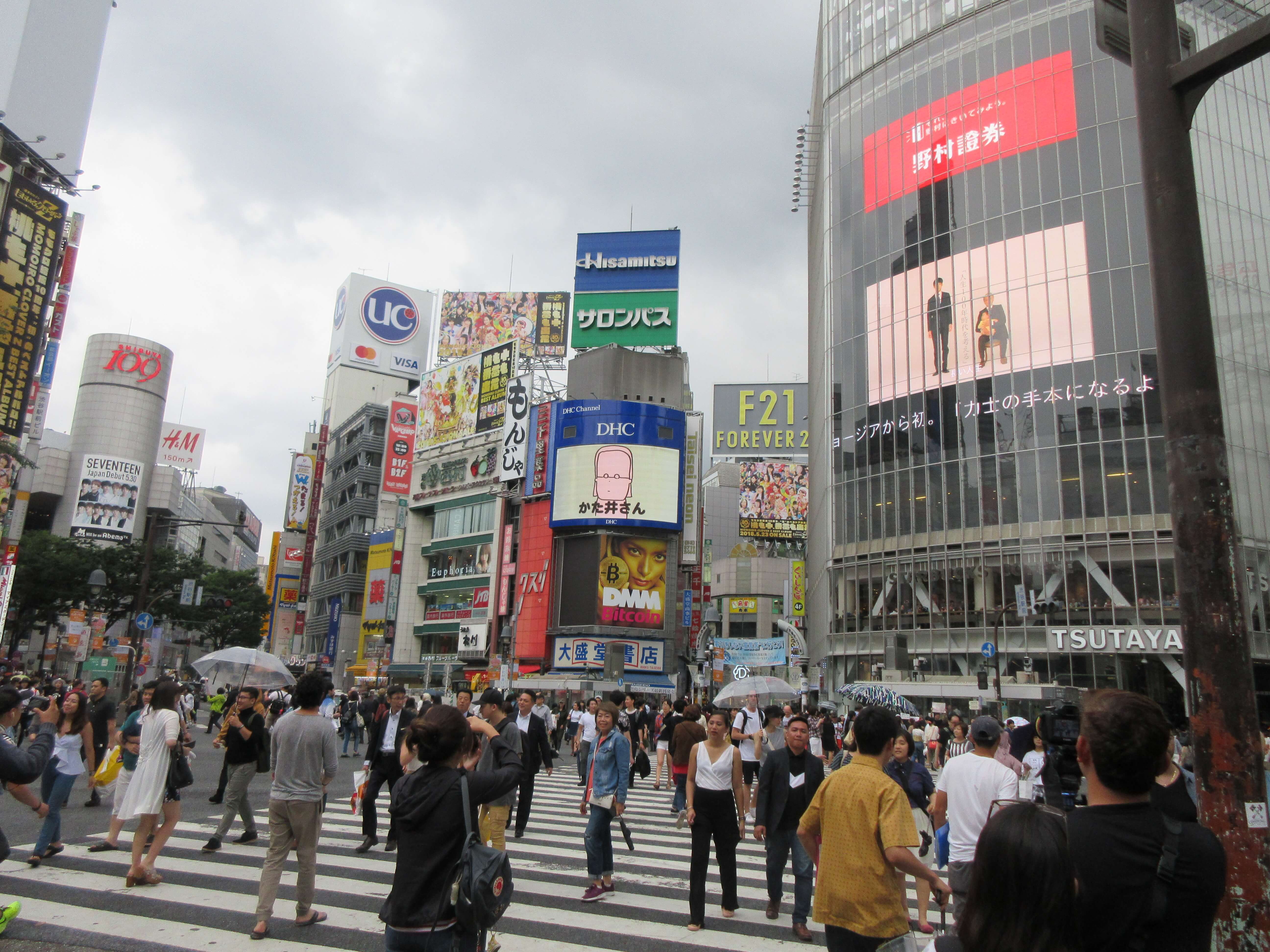 渋谷区松濤の真実｜坪単価から豪邸・治安まで最高峰住宅街を徹底解剖