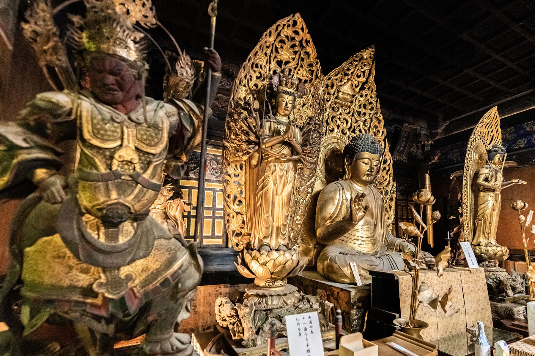 施福寺はなぜ屈指の難所なのか？参道の実態と2026年最新巡礼案内