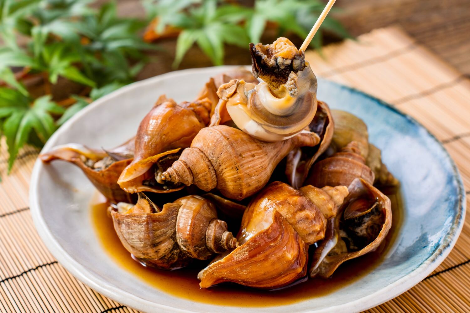 つぶ貝の煮付けを料亭級に柔らかく仕上げる黄金比と毒抜き下処理の極意