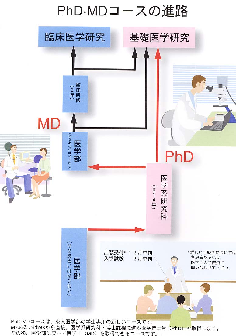 医学博士とは？医師との違いや意味ない説の真相、取得ルートを徹底解剖