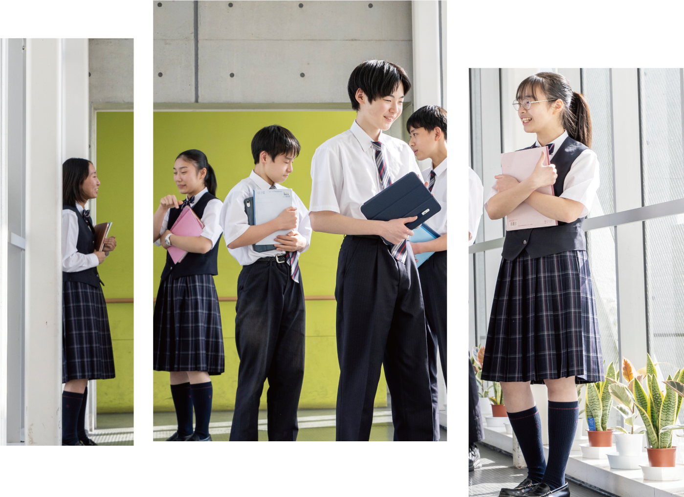 都市大等々力の偏差値急上昇と「塾いらず」の全貌【2026年最新分析】
