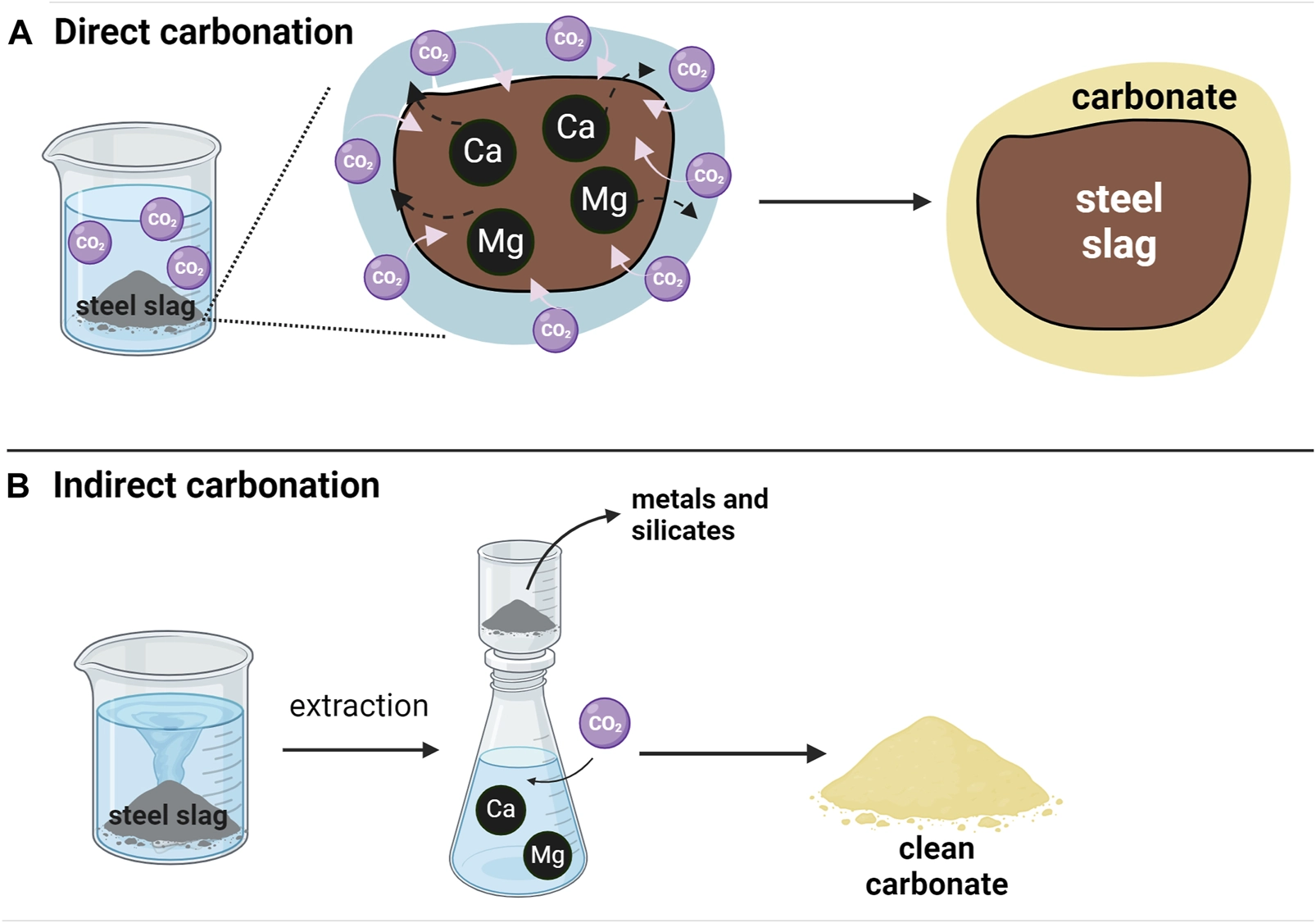 What Is Carbonation Made Of