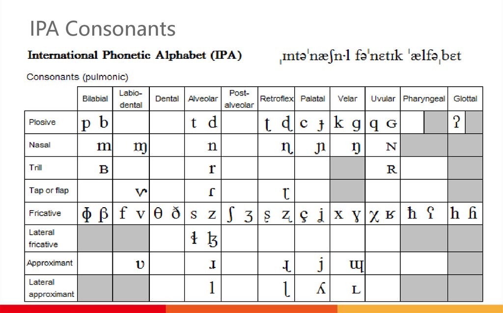 International Phoenetic Alphabet