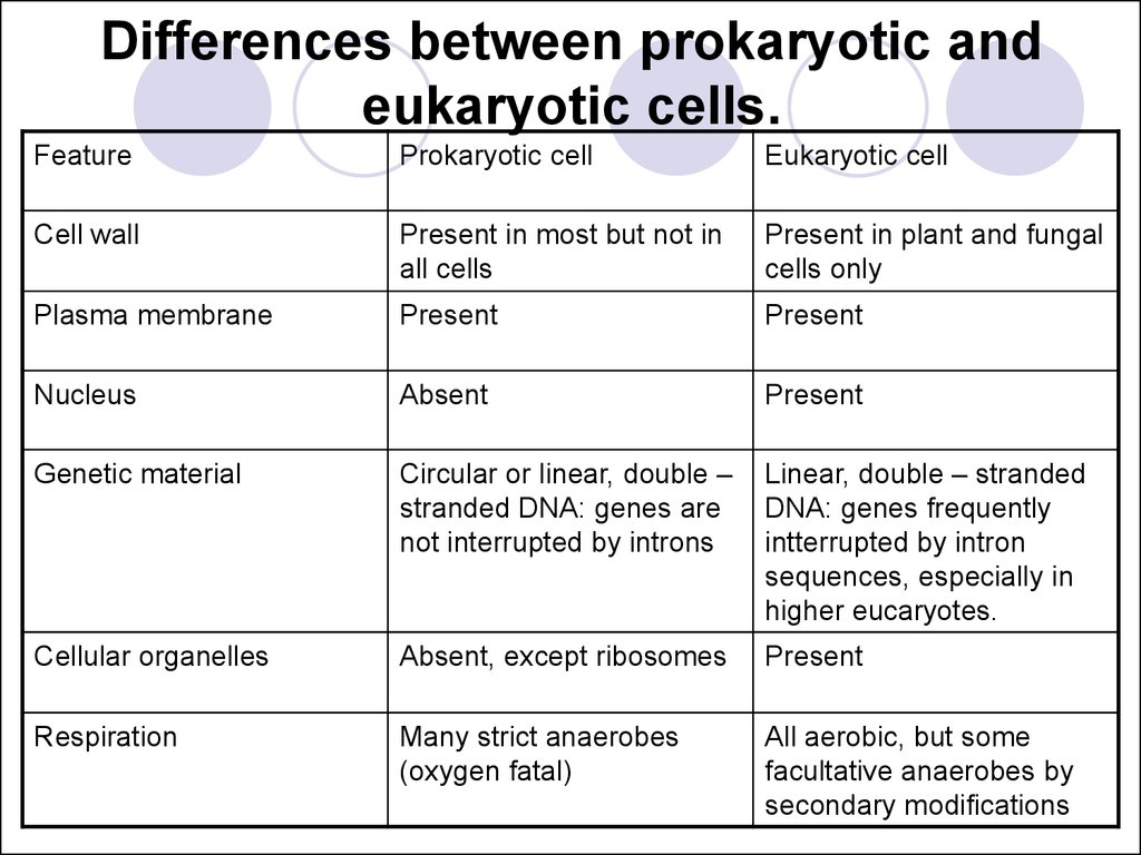 Pogil Prokaryotic and Eukaryotic Cells Answer Key
