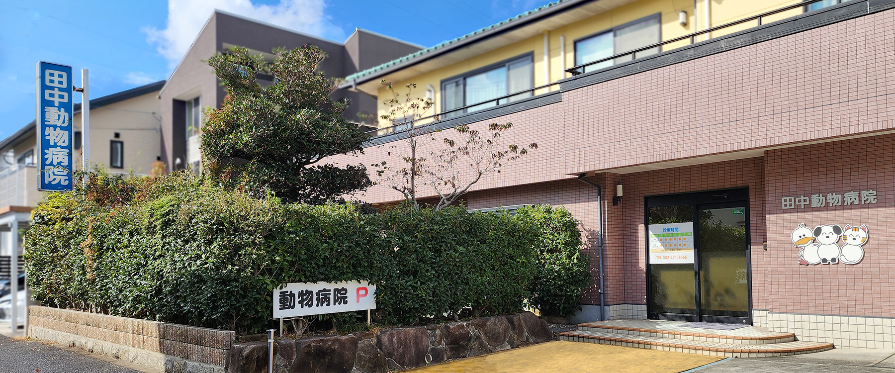 田中動物病院の評判と費用は？2026年最新の診療実態と口コミの真相