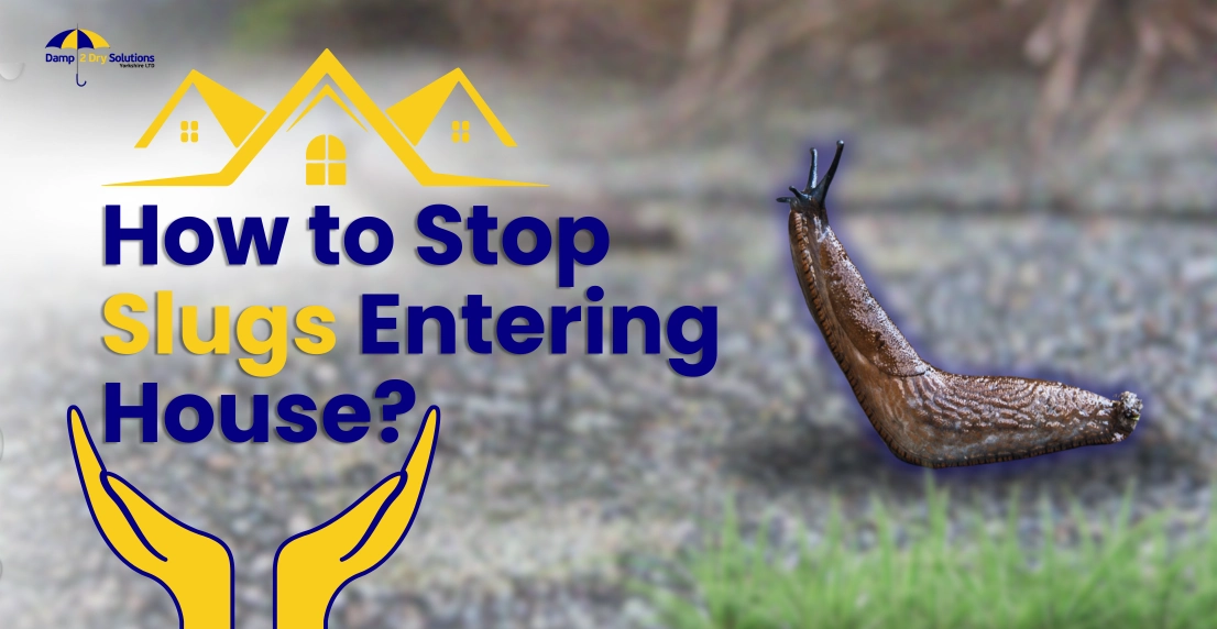 How to Stop Slugs Coming in the House at Night