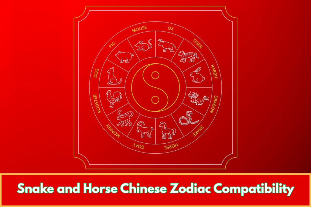 Year of the Horse and Snake Compatibility