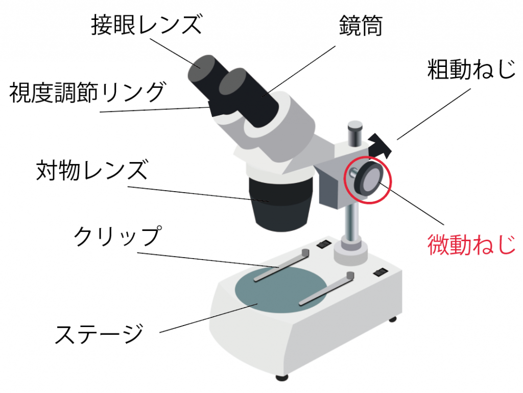 双眼実体顕微鏡の選び方と生物顕微鏡との違いを徹底解剖【2026】