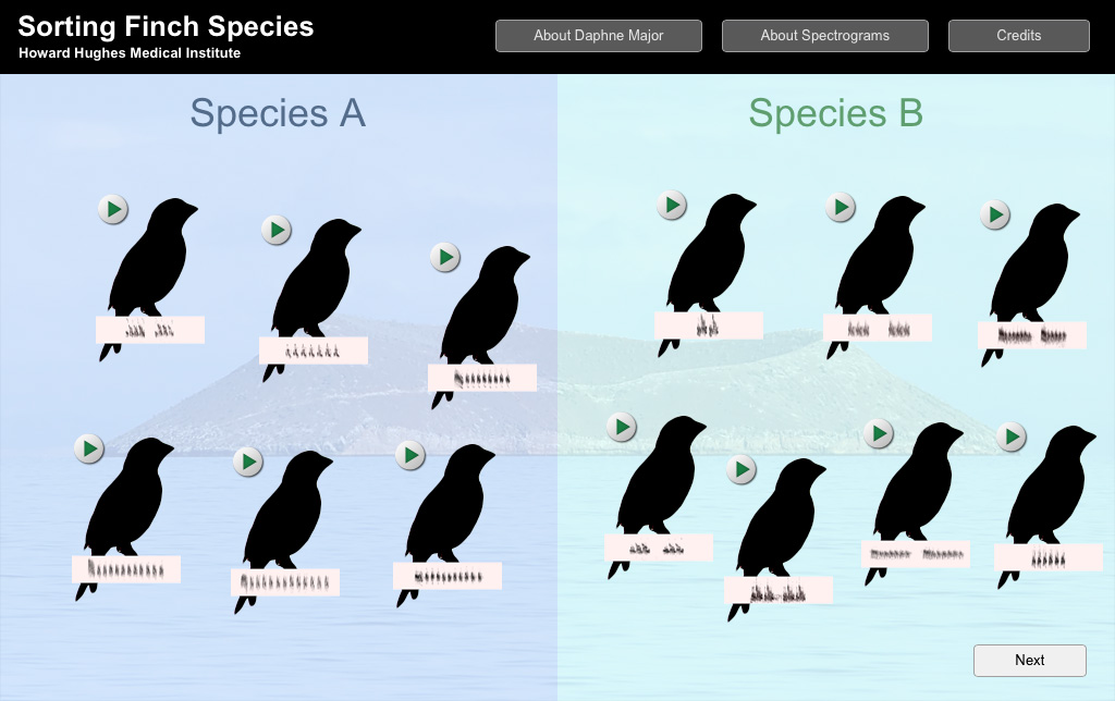 Biointeractive Sorting Finch Species Click and Learn Answer Key
