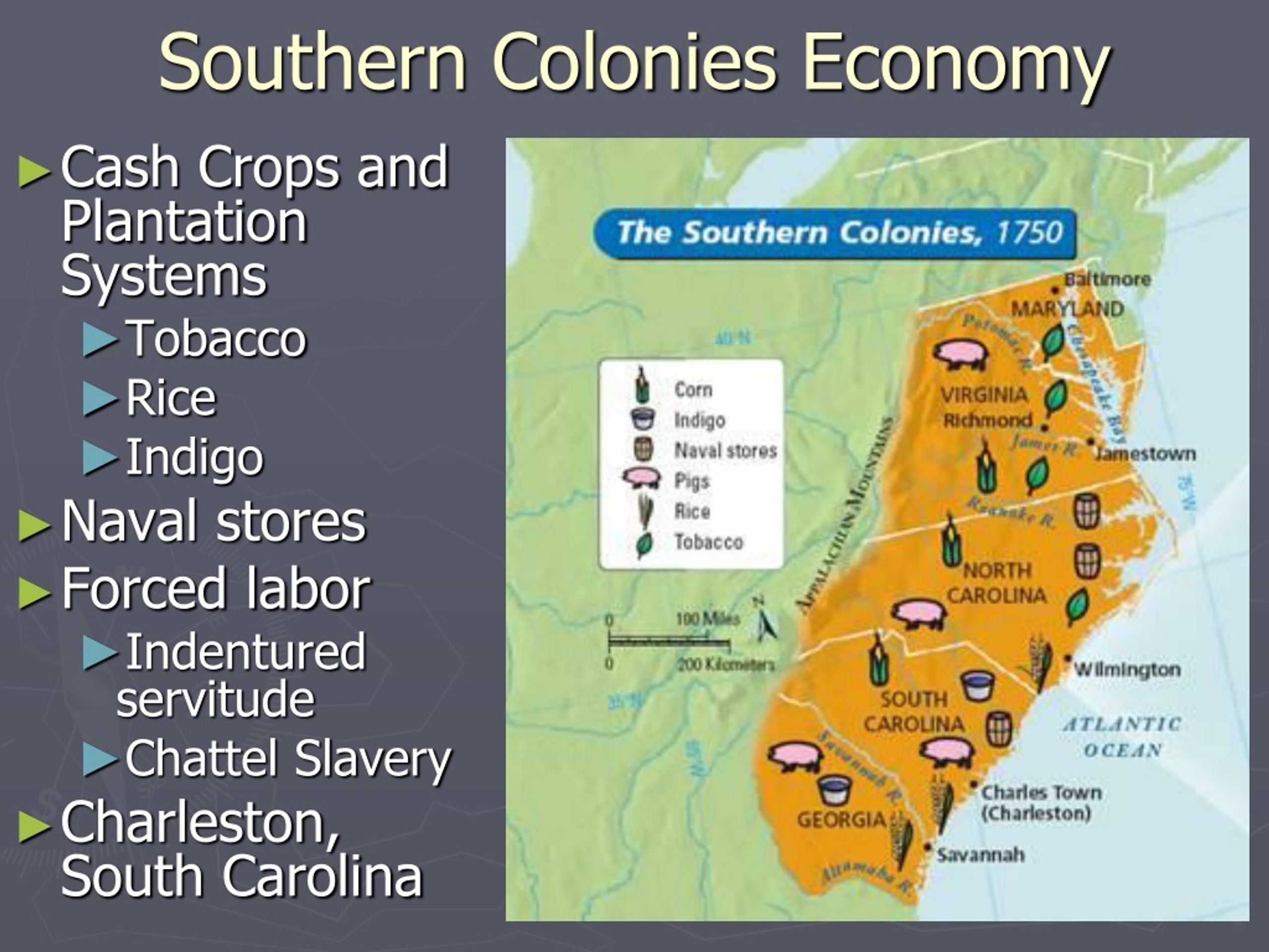 What Was the Economy of the Southern Colonies Based on?
