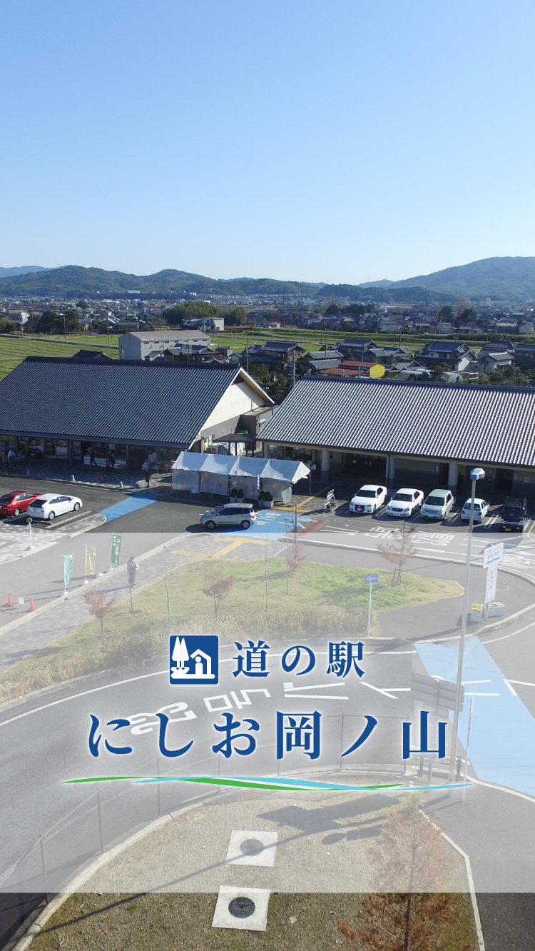 道の駅にしお岡ノ山がリピートされる理由！絶品グルメと混雑回避の全貌