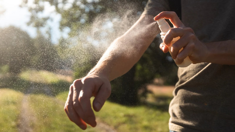 How to Stop Flies Landing on You