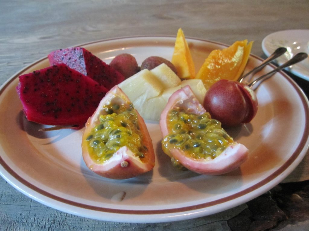屋久島フルーツガーデンの魅力解剖！料金・試食の評判と最新現地レポ